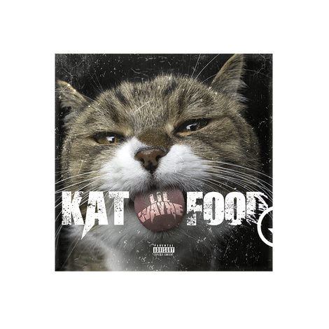 Kat Food Digital Single